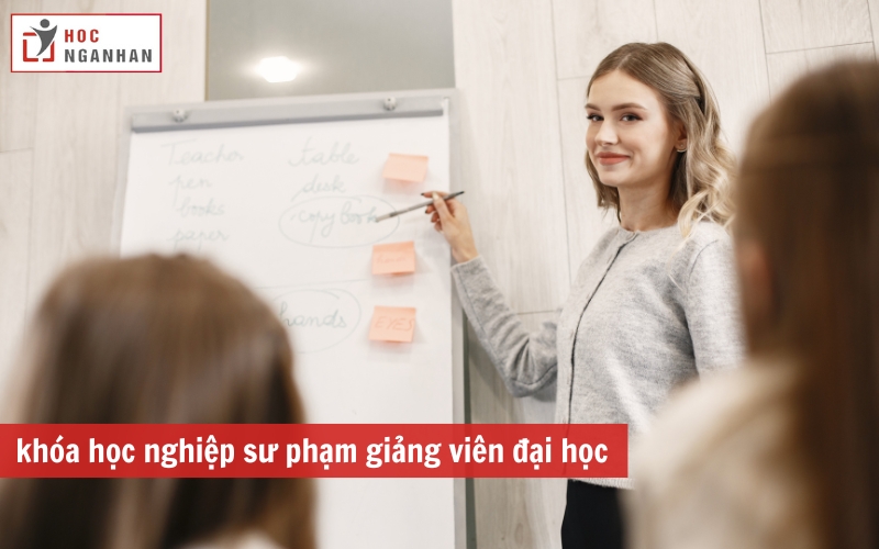 khóa học giảng viên sự phạm đại học